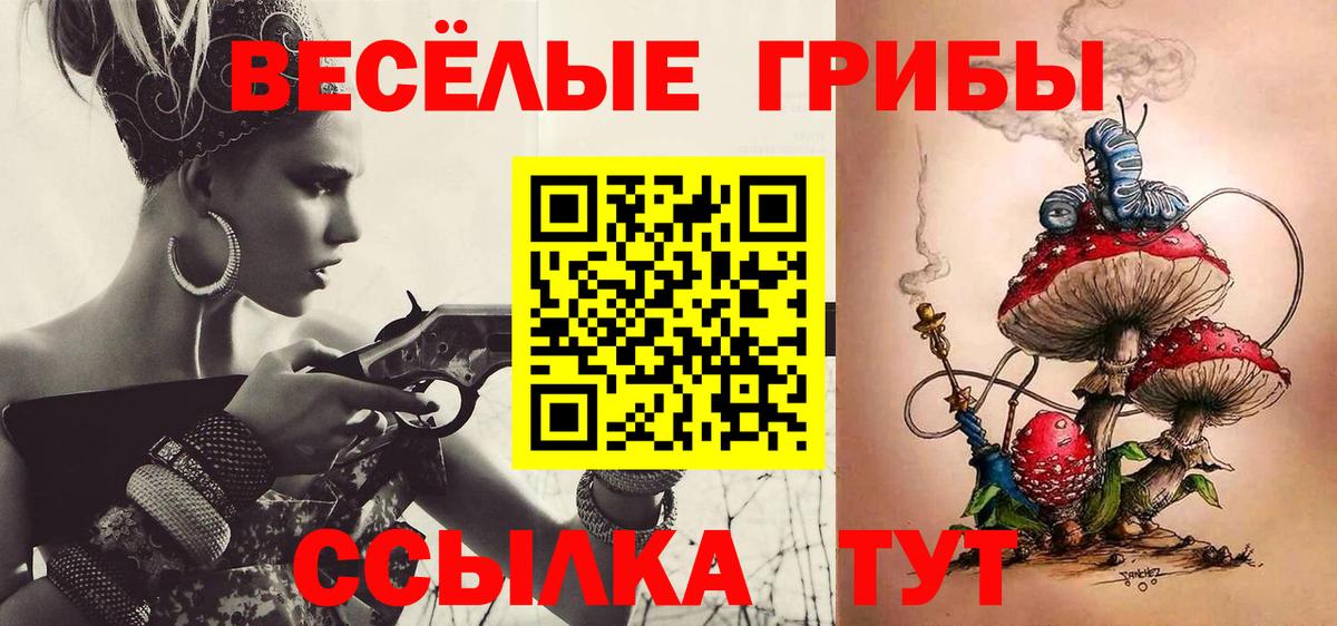 Галлюциногенные грибы MAGIC MUSHROOMS  Вход с VPN  цены   Светлоград  Галлюциногенные грибы мухоморы 